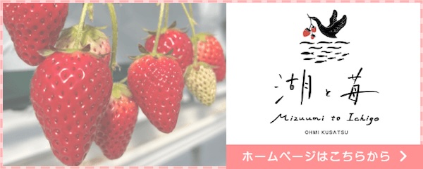 湖と苺 MIZUUMI to ICHIGO ホームページへ