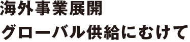 海外事業展開グローバル供給にむけて